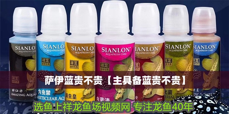 薩伊藍(lán)貴不貴【主具備藍(lán)貴不貴】 薩伊藍(lán)貴不貴【主具備藍(lán)貴不貴】 龍魚論壇
