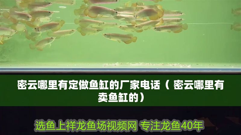 密云哪里有定做魚缸的廠家電話（ 密云哪里有賣魚缸的）