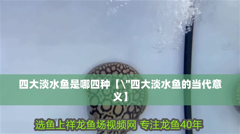 四大淡水魚是哪四種【\