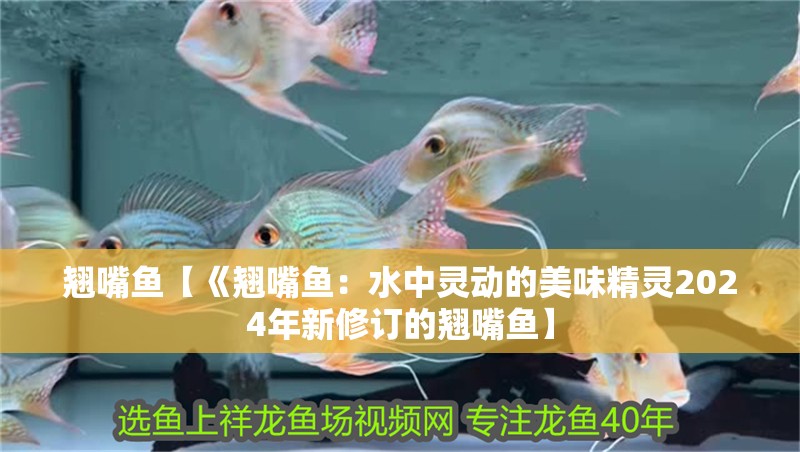 翹嘴魚【《翹嘴魚：水中靈動的美味精靈2024年新修訂的翹嘴魚】
