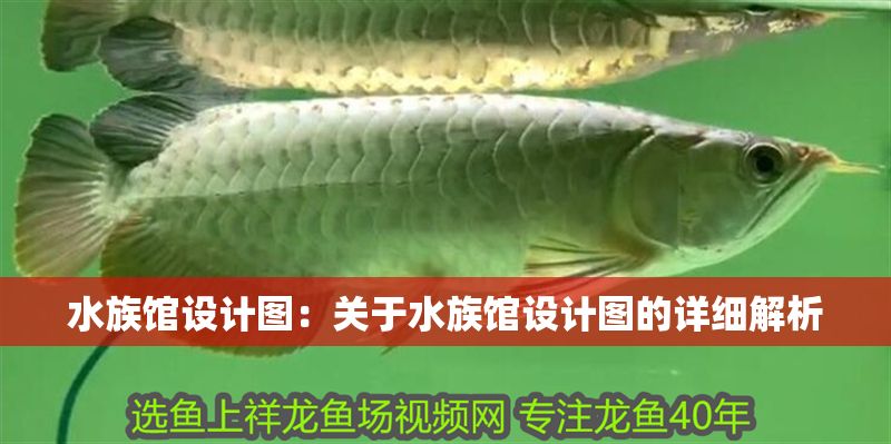 水族館設計圖：關于水族館設計圖的詳細解析