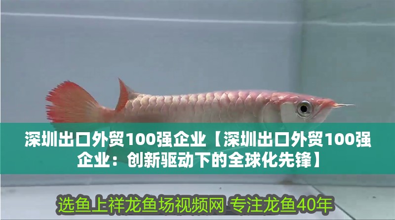 深圳出口外貿100強企業【深圳出口外貿100強企業：創新驅動下的全球化先鋒】