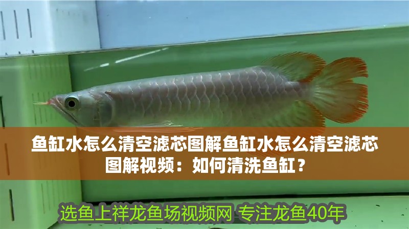魚缸水怎么清空濾芯圖解魚缸水怎么清空濾芯圖解視頻：如何清洗魚缸？