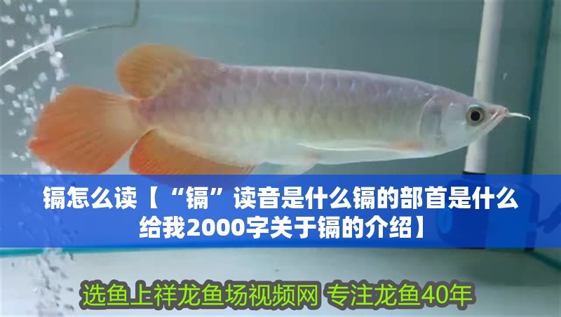 魚缸用增氧泵價格是多少:魚缸增氧機-xtrac增氧機-xtrac增氧機 鎘怎么讀【“鎘”讀音是什么鎘的部首是什么給我2000字關于鎘的介紹】 龍魚論壇 鎘怎么讀【“鎘”讀音是什么鎘的部首是什么給我2000字關于鎘的介紹】 鎘怎么讀【“鎘”讀音是什么鎘的部首是什么給我2000字關于鎘的介紹】 龍魚論壇