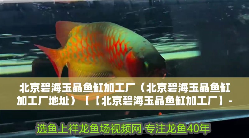 北京碧海玉晶魚缸加工廠（北京碧海玉晶魚缸加工廠地址）【【北京碧海玉晶魚缸加工廠】-打造水族愛好者的夢幻世界】