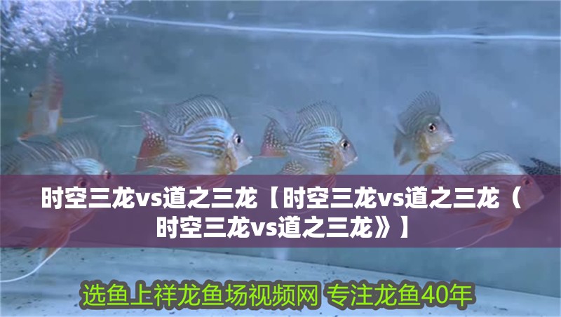 時(shí)空三龍vs道之三龍【時(shí)空三龍vs道之三龍（時(shí)空三龍vs道之三龍》】