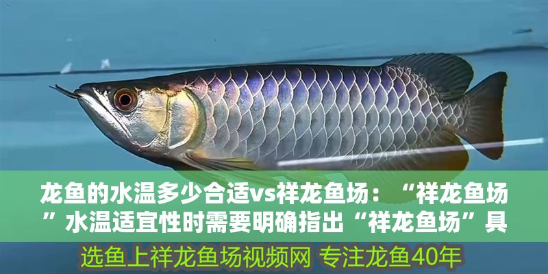 龍魚的水溫多少合適vs祥龍魚場：“祥龍魚場”水溫適宜性時需要明確指出“祥龍魚場”具體位置和環境 龍魚的水溫多少合適vs祥龍魚場：“祥龍魚場”水溫適宜性時需要明確指出“祥龍魚場”具體位置和環境 vs祥龍魚場 第1張