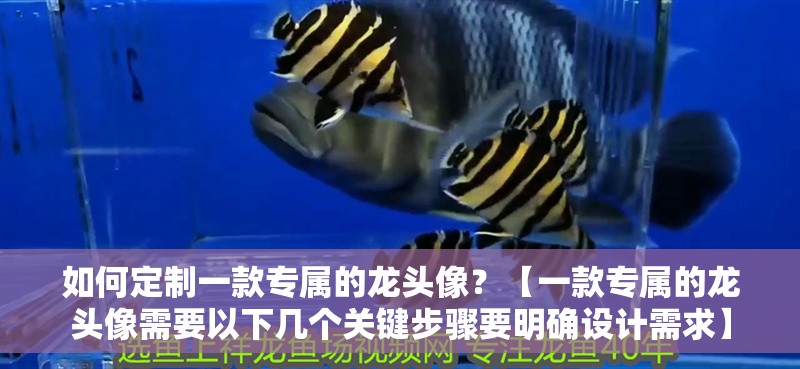 魚缸用增氧泵價格是多少:魚缸增氧機-xtrac增氧機-xtrac增氧機 如何定制一款專屬的龍頭像?【一款專屬的龍頭像需要以下幾個關鍵步驟要明確設計需求】 龍魚論壇 如何定制一款專屬的龍頭像?【一款專屬的龍頭像需要以下幾個關鍵步驟要明確設計需求】 如何定制一款專屬的龍頭像?【一款專屬的龍頭像需要以下幾個關鍵步驟要明確設計需求】 龍魚論壇