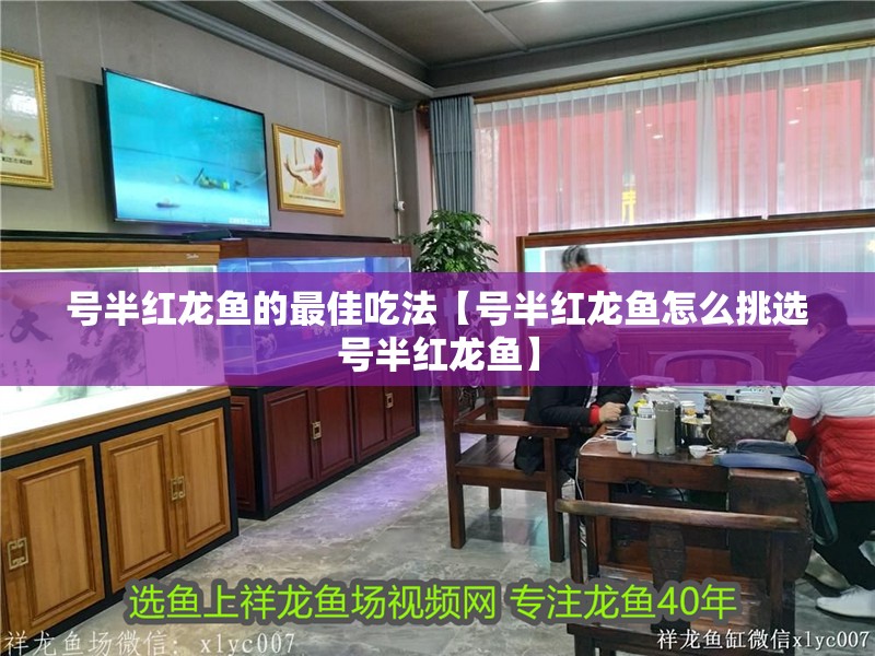 號半紅龍魚的最佳吃法【號半紅龍魚怎么挑選號半紅龍魚】