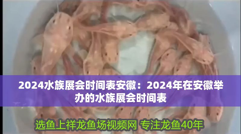 2024水族展會時間表安徽：2024年在安徽舉辦的水族展會時間表