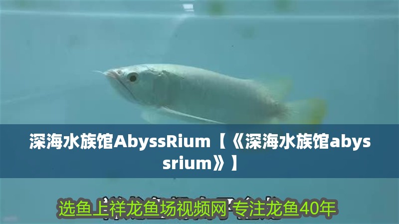 深海水族館AbyssRium【《深海水族館abyssrium》】