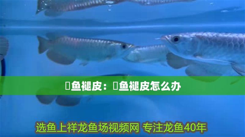 魟魚褪皮：魟魚褪皮怎么辦 魟魚褪皮：魟魚褪皮怎么辦 魟魚百科 第2張