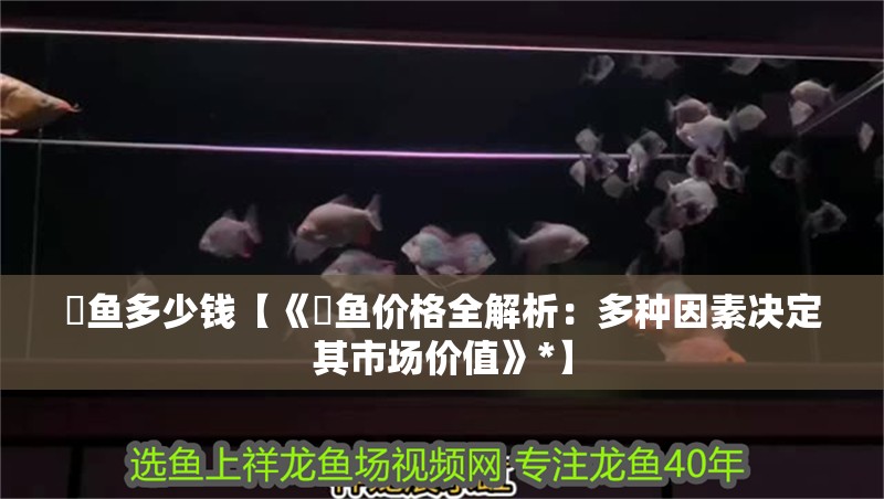 魟魚多少錢【《魟魚價格全解析：多種因素決定其市場價值》*】