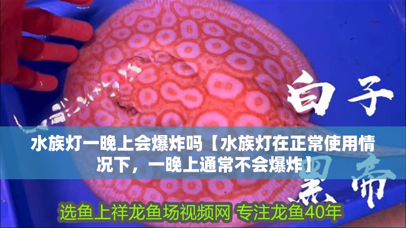 水族燈一晚上會(huì)爆炸嗎【水族燈在正常使用情況下，一晚上通常不會(huì)爆炸】