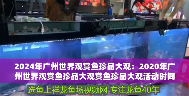 2024年廣州世界觀賞魚珍品大觀：2020年廣州世界觀賞魚珍品大觀賞魚珍品大觀活動時間
