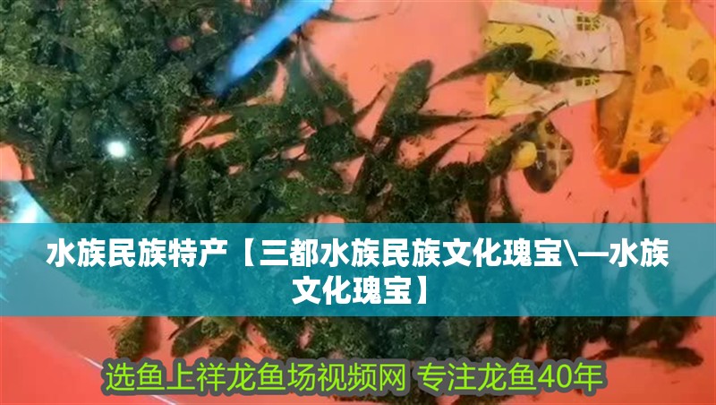 水族民族特產【三都水族民族文化瑰寶\—水族文化瑰寶】