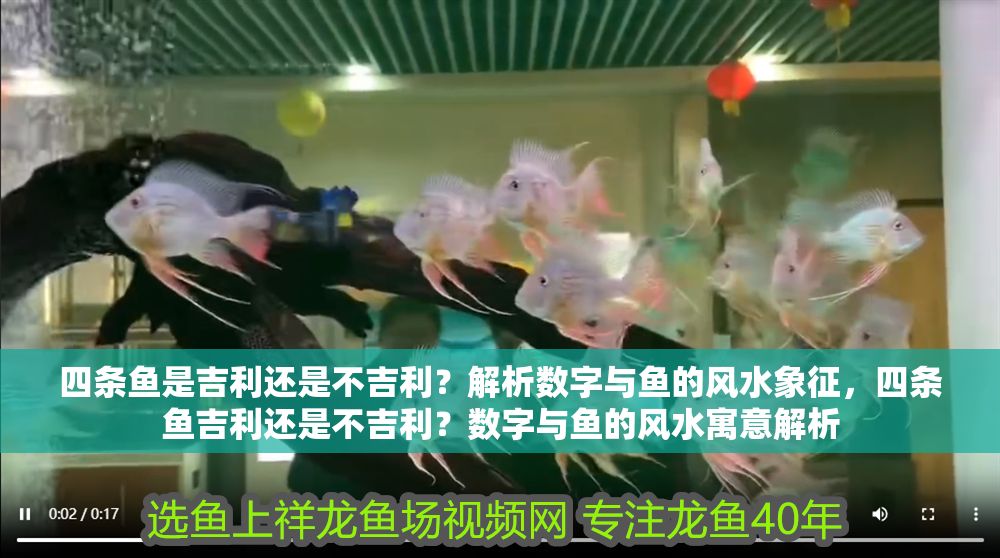 四條魚是吉利還是不吉利？解析數字與魚的風水象征，四條魚吉利還是不吉利？數字與魚的風水寓意解析