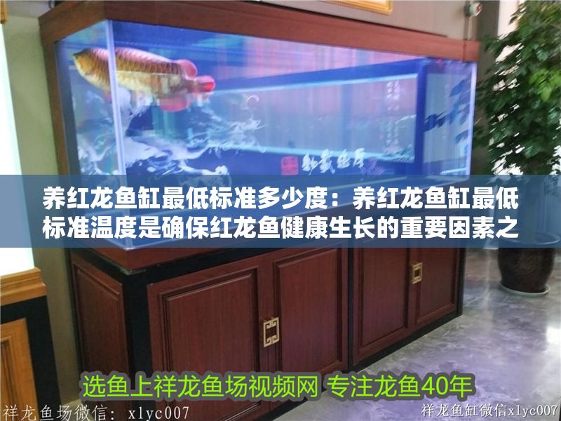 養紅龍魚缸最低標準多少度：養紅龍魚缸最低標準溫度是確保紅龍魚健康生長的重要因素之一