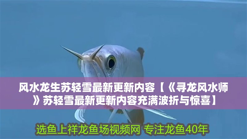 風水龍生蘇輕雪最新更新內容【《尋龍風水師》蘇輕雪最新更新內容充滿波折與驚喜】