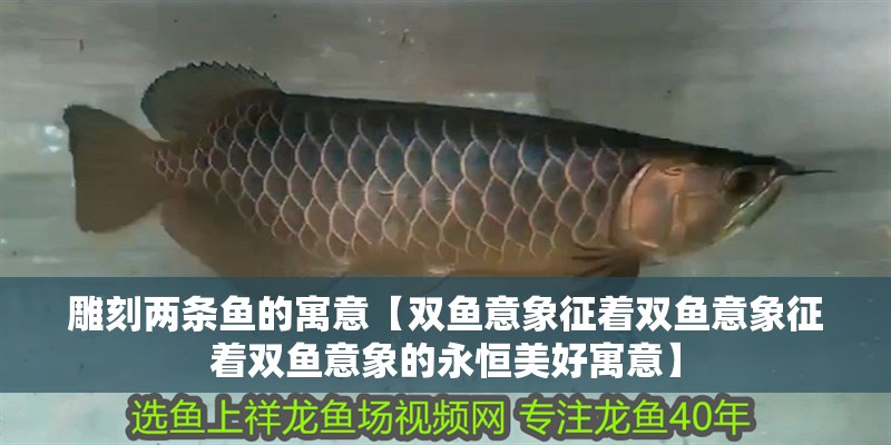 雕刻兩條魚的寓意【雙魚意象征著雙魚意象征著雙魚意象的永恒美好寓意】 雕刻兩條魚的寓意【雙魚意象征著雙魚意象征著雙魚意象的永恒美好寓意】 龍魚論壇