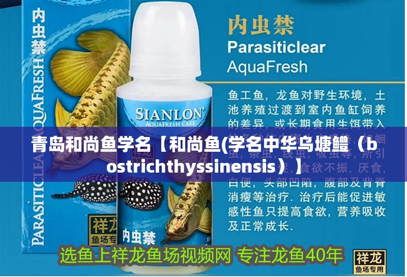 魚缸用增氧泵價(jià)格是多少:魚缸增氧機(jī)-xtrac增氧機(jī)-xtrac增氧機(jī) 青島和尚魚學(xué)名【和尚魚(學(xué)名中華烏塘鱧(bostrichthyssinensis)】 龍魚論壇 青島和尚魚學(xué)名【和尚魚(學(xué)名中華烏塘鱧(bostrichthyssinensis)】 青島和尚魚學(xué)名【和尚魚(學(xué)名中華烏塘鱧(bostrichthyssinensis)】 龍魚論壇