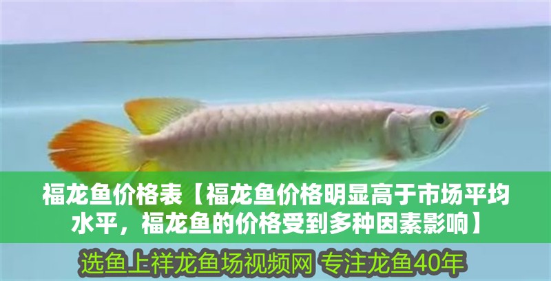 福龍魚價格表【福龍魚價格明顯高于市場平均水平，福龍魚的價格受到多種因素影響】