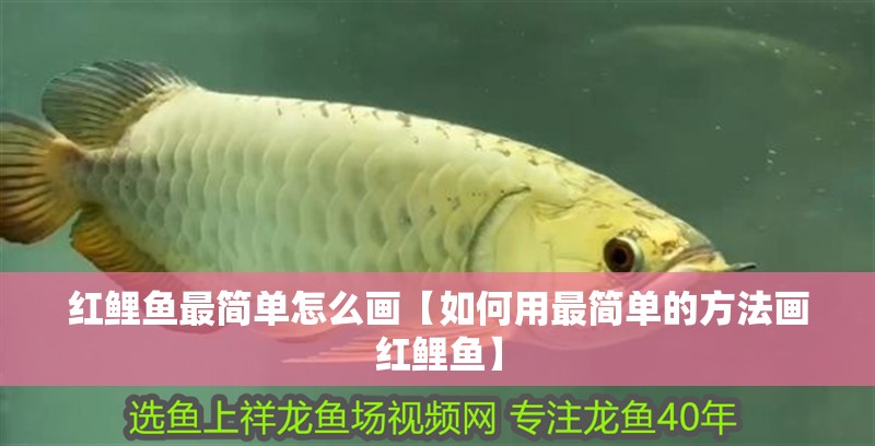 紅鯉魚最簡單怎么畫【如何用最簡單的方法畫紅鯉魚】