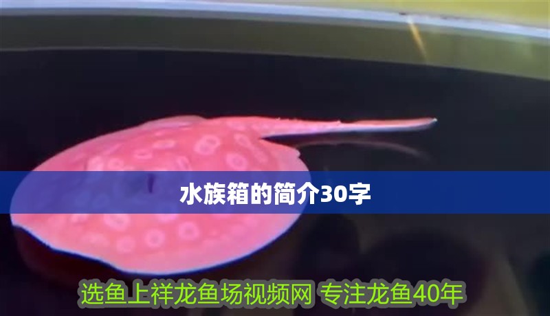 水族箱的簡介30字