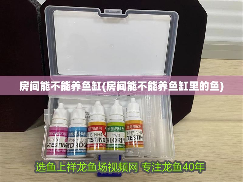 房間能不能養(yǎng)魚缸(房間能不能養(yǎng)魚缸里的魚)