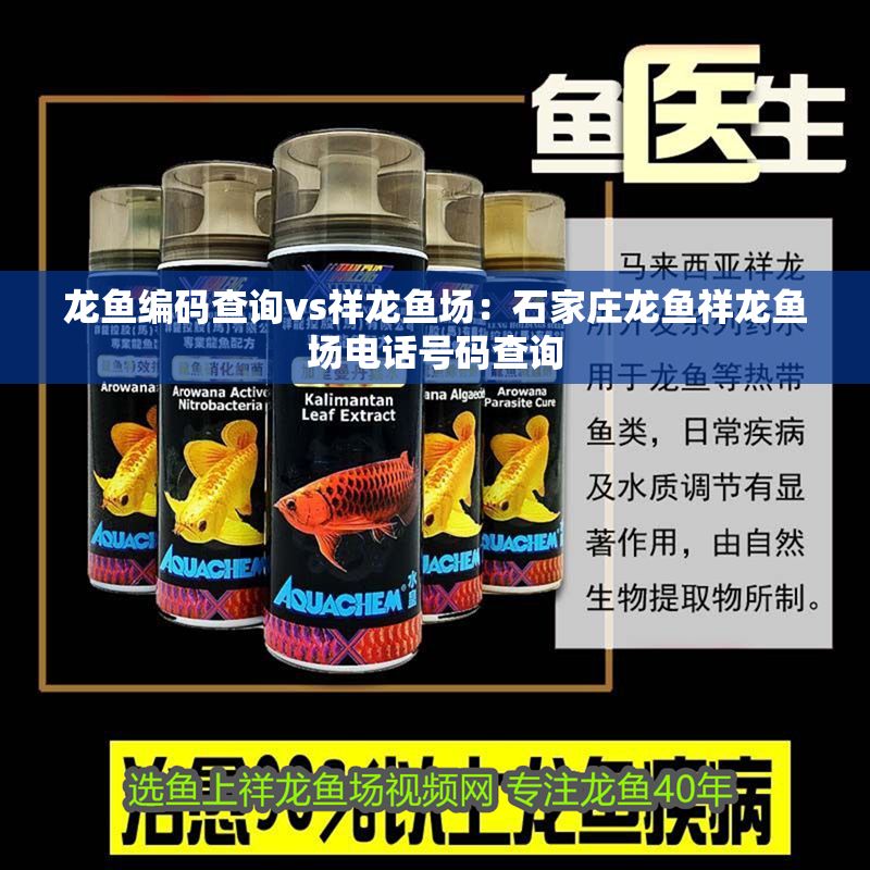 龍魚編碼查詢vs祥龍魚場：石家莊龍魚祥龍魚場電話號碼查詢 龍魚編碼查詢vs祥龍魚場：石家莊龍魚祥龍魚場電話號碼查詢 vs祥龍魚場 第1張