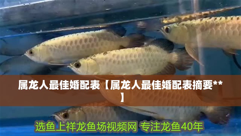 屬龍人最佳婚配表【屬龍人最佳婚配表摘要**】