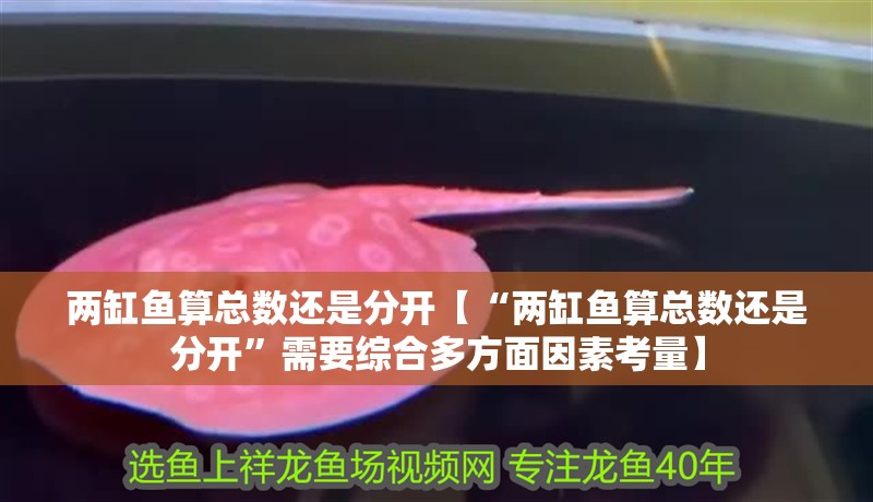 兩缸魚(yú)算總數(shù)還是分開(kāi)【“兩缸魚(yú)算總數(shù)還是分開(kāi)”需要綜合多方面因素考量】
