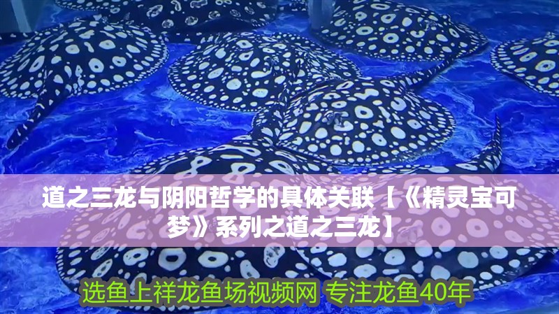 道之三龍與陰陽哲學的具體關聯【《精靈寶可夢》系列之道之三龍】