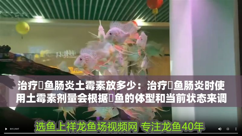 治療魟魚腸炎土霉素放多少：治療魟魚腸炎時使用土霉素劑量會根據魟魚的體型和當前狀態來調整 治療魟魚腸炎土霉素放多少：治療魟魚腸炎時使用土霉素劑量會根據魟魚的體型和當前狀態來調整 魟魚百科 第2張