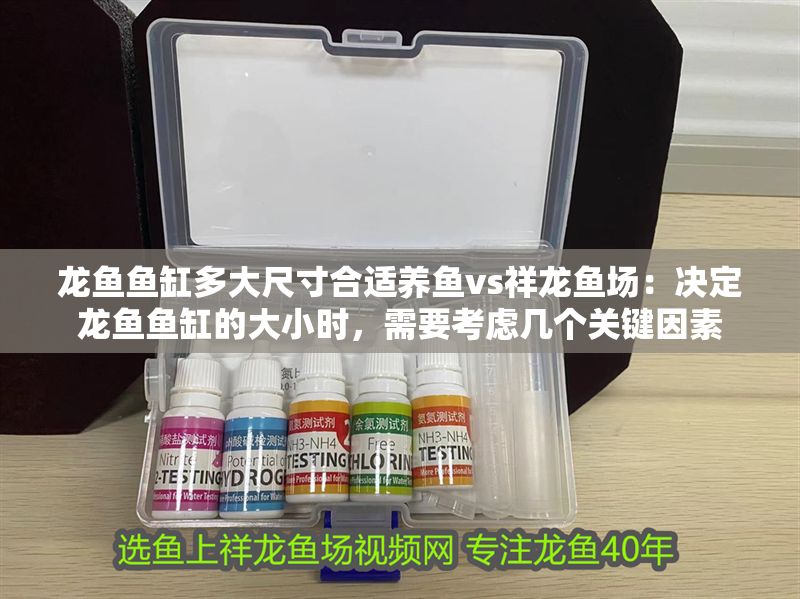 龍魚魚缸多大尺寸合適養魚vs祥龍魚場：決定龍魚魚缸的大小時，需要考慮幾個關鍵因素