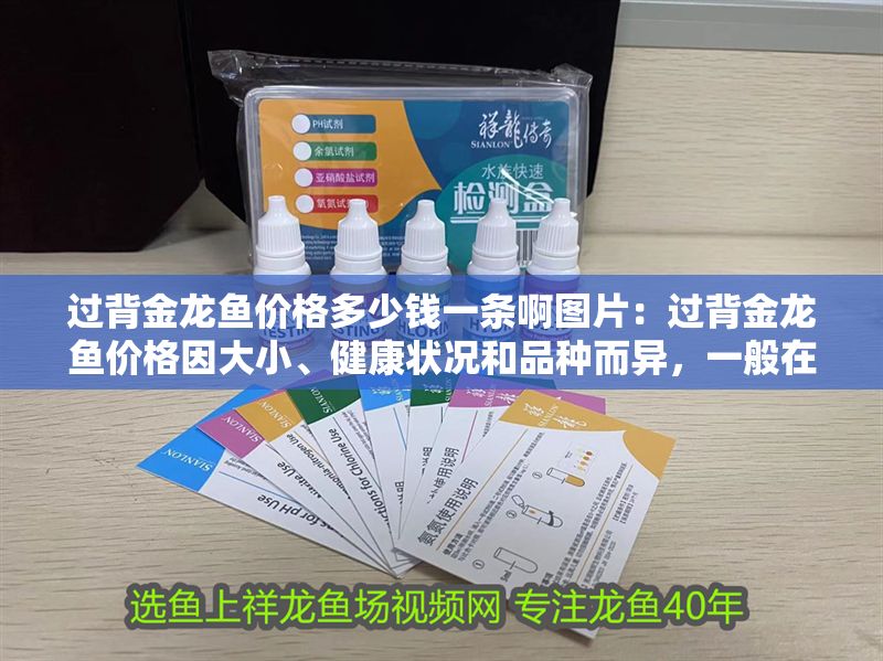 過背金龍魚價格多少錢一條啊圖片：過背金龍魚價格因大小、健康狀況和品種而異，一般在100元不等 過背金龍魚價格多少錢一條啊圖片：過背金龍魚價格因大小、健康狀況和品種而異，一般在100元不等 金龍魚百科 第1張