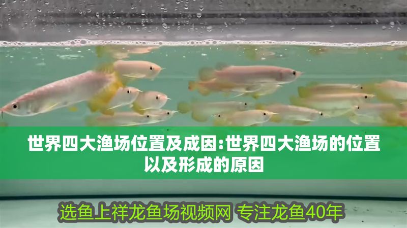 世界四大漁場位置及成因:世界四大漁場的位置以及形成的原因