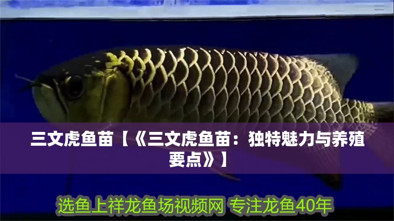 三文虎魚苗【《三文虎魚苗：獨特魅力與養(yǎng)殖要點》】