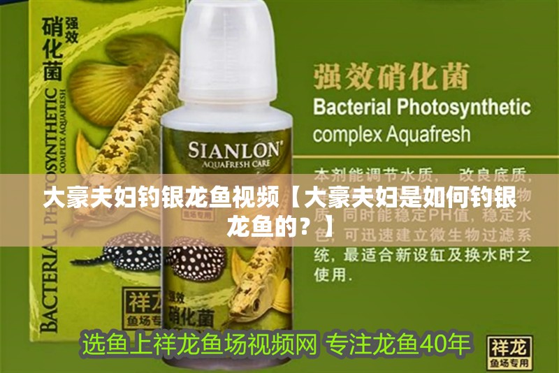 大豪夫婦釣銀龍魚視頻【大豪夫婦是如何釣銀龍魚的？】 大豪夫婦釣銀龍魚視頻【大豪夫婦是如何釣銀龍魚的？】 水族問答