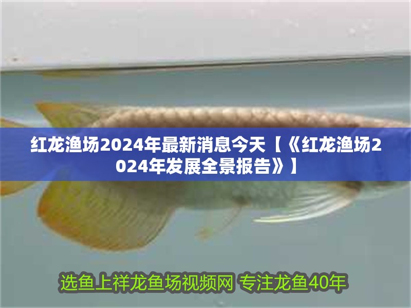 紅龍漁場2024年最新消息今天【《紅龍漁場2024年發(fā)展全景報(bào)告》】