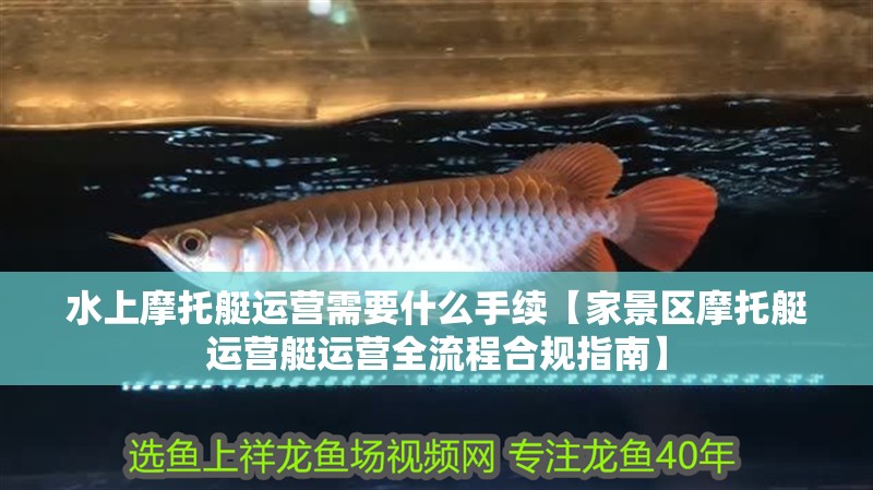 水上摩托艇運營需要什么手續(xù)【家景區(qū)摩托艇運營艇運營全流程合規(guī)指南】