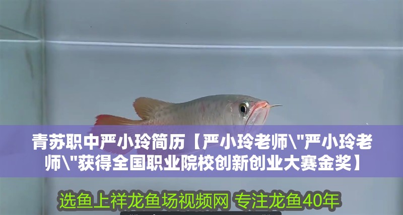 青蘇職中嚴(yán)小玲簡(jiǎn)歷【嚴(yán)小玲老師 青蘇職中嚴(yán)小玲簡(jiǎn)歷【嚴(yán)小玲老師\