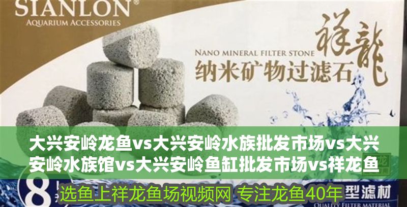 大興安嶺龍魚vs大興安嶺水族批發市場vs大興安嶺水族館vs大興安嶺魚缸批發市場vs祥龍魚場：大興安嶺水族批發市場 大興安嶺龍魚vs大興安嶺水族批發市場vs大興安嶺水族館vs大興安嶺魚缸批發市場vs祥龍魚場：大興安嶺水族批發市場 祥龍魚場各市分站 第2張