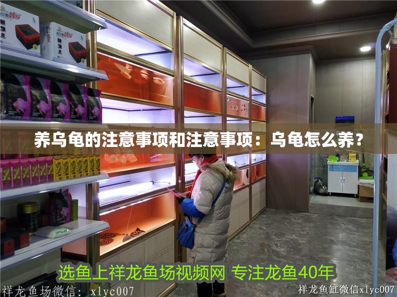 養(yǎng)烏龜的注意事項和注意事項：烏龜怎么養(yǎng)？