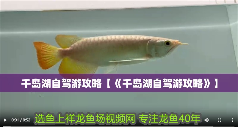 千島湖自駕游攻略【《千島湖自駕游攻略》】 千島湖自駕游攻略【《千島湖自駕游攻略》】 龍魚論壇