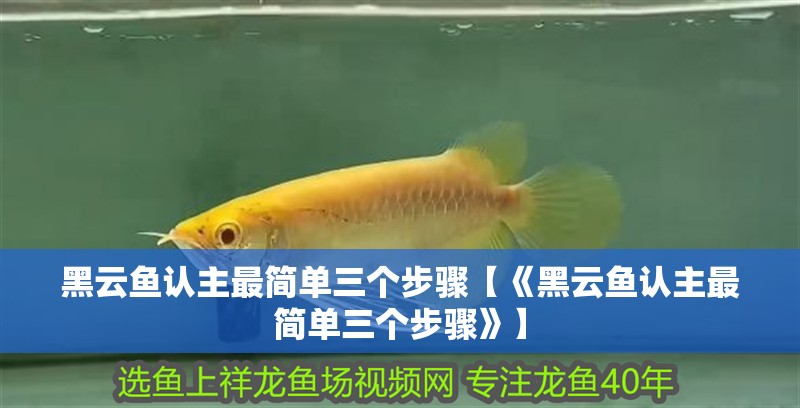 黑云魚認主最簡單三個步驟【《黑云魚認主最簡單三個步驟》】