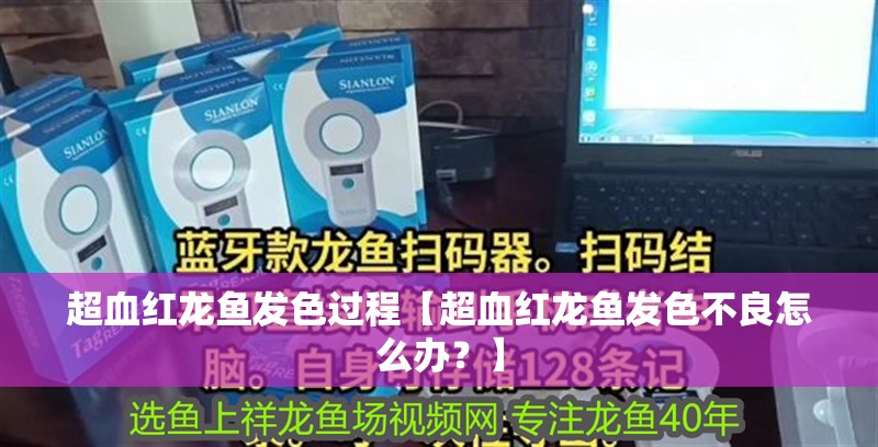 超血紅龍魚發(fā)色過程【超血紅龍魚發(fā)色不良怎么辦？】 超血紅龍魚發(fā)色過程【超血紅龍魚發(fā)色不良怎么辦？】 水族問答