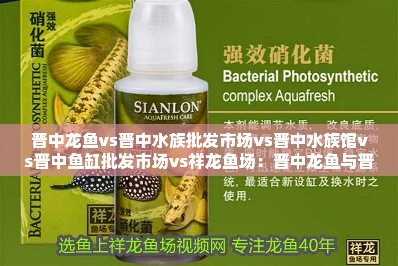 晉中龍魚vs晉中水族批發市場vs晉中水族館vs晉中魚缸批發市場vs祥龍魚場:晉中龍魚與晉中水族批發市場、水族館和魚缸批發市場之間存在著顯著的競爭關系 祥龍魚場各市分站 第2張 晉中龍魚vs晉中水族批發市場vs晉中水族館vs晉中魚缸批發市場vs祥龍魚場:晉中龍魚與晉中水族批發市場、水族館和魚缸批發市場之間存在著顯著的競爭關系 晉中龍魚vs晉中水族批發市場vs晉中水族館vs晉中魚缸批發市場vs祥龍魚場:晉中龍魚與晉中水族批發市場、水族館和魚缸批發市場之間存在著顯著的競爭關系 祥龍魚場各市分站 第2張