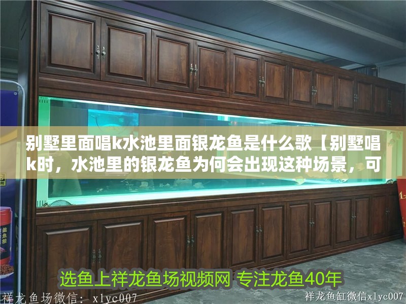 別墅里面唱k水池里面銀龍魚是什么歌【別墅唱k時，水池里的銀龍魚為何會出現(xiàn)這種場景，可能有多種原因】 別墅里面唱k水池里面銀龍魚是什么歌【別墅唱k時，水池里的銀龍魚為何會出現(xiàn)這種場景，可能有多種原因】 水族問答