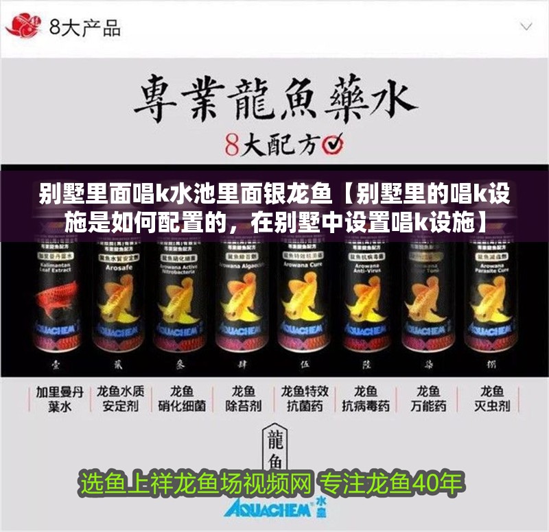 別墅里面唱k水池里面銀龍魚【別墅里的唱k設施是如何配置的，在別墅中設置唱k設施】